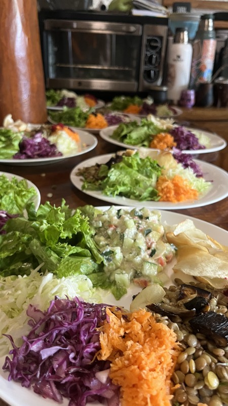 Fuentes de ensaladas de colores con repollo morado, zanahoria y lentejas.